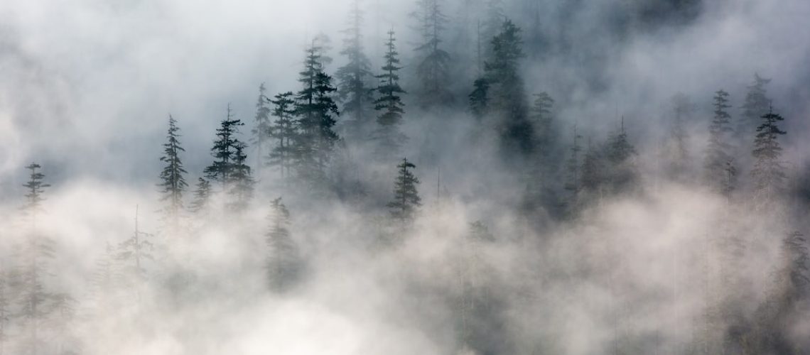 New Research Forecasts More Dire Sea Level Rise as Greenland’s Ice Melts