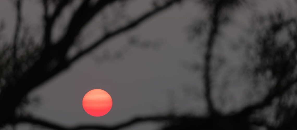Record-breaking heat waves ravaging the West are not normal, scientists warn