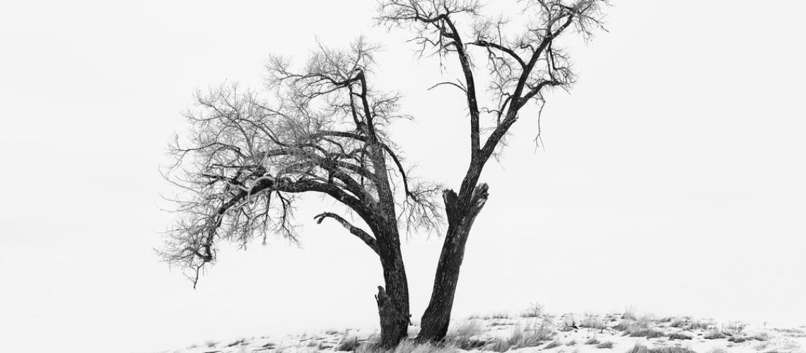 Western Drought Will Last Into Fall or Longer Western Drought Will Last Into Fall or Longer