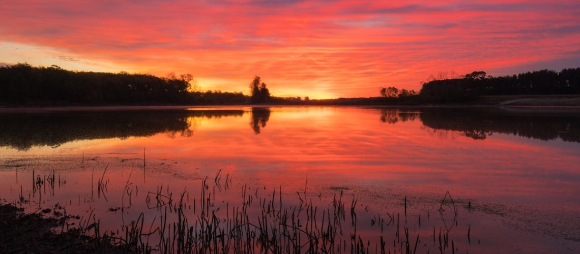 A Key to Controlling Emissions: More Buildings in a City’s Unused Spaces