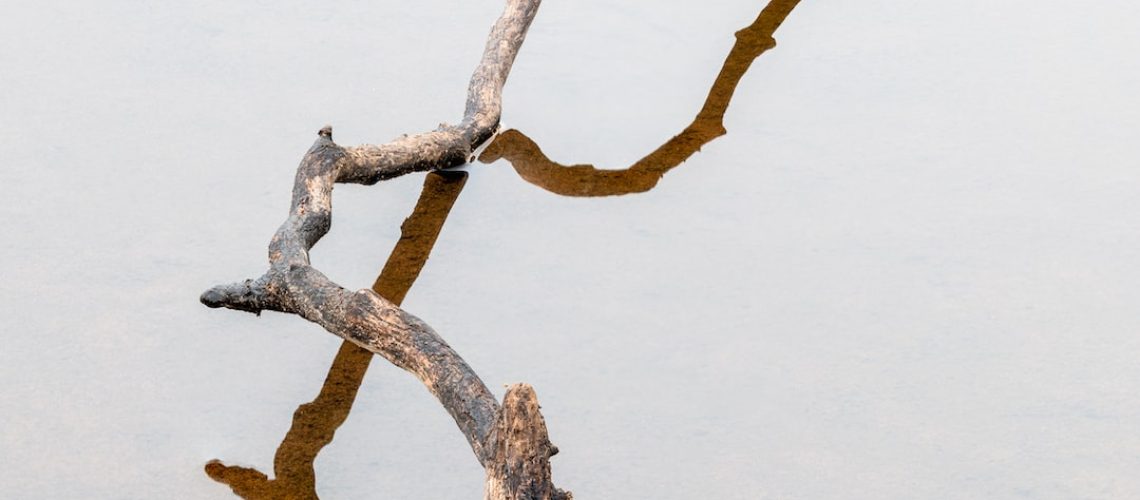 In ‘Cancer Alley,’ Judge Blocks Huge Petrochemical Plant