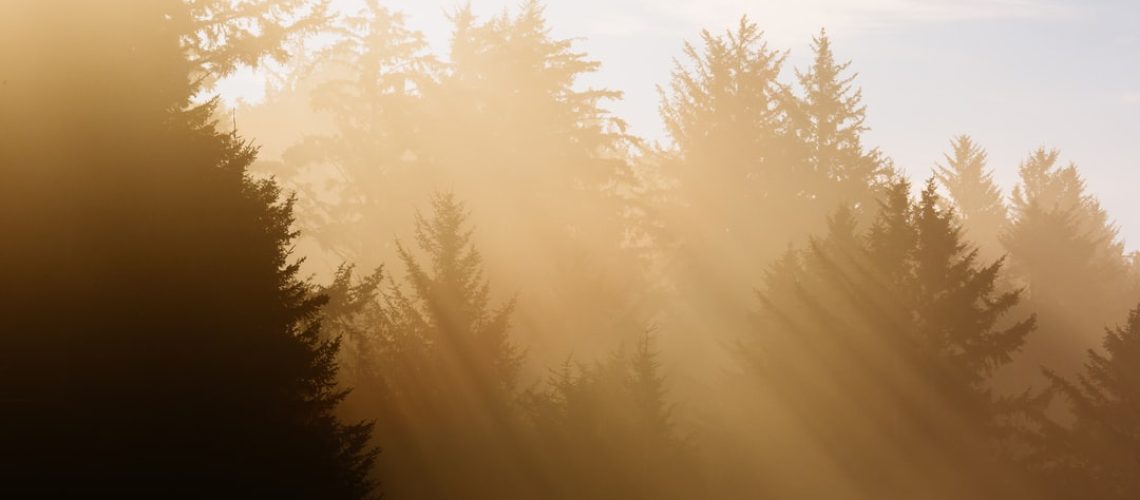 Interior Wants Higher Fees to Drill on Public Lands but Is Quiet About Climate Impacts