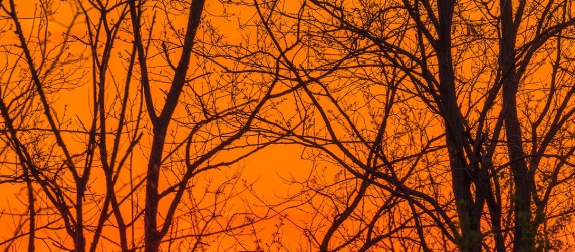 Western States Face Excessive Heat Warnings and Advisories Western States Face Excessive Heat Warnings and Advisories