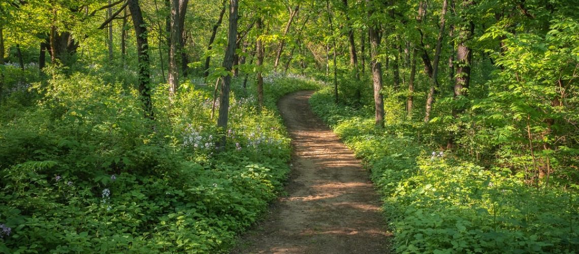 Mining in Minnesota halts as government considers 20-year ban Mining in Minnesota halts as government considers 20-year ban