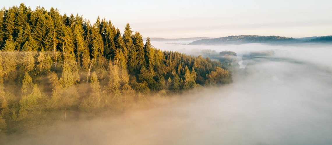 Satellites Could Help Track if Nations Keep Their Carbon Pledges Satellites Could Help Track if Nations Keep Their Carbon Pledges
