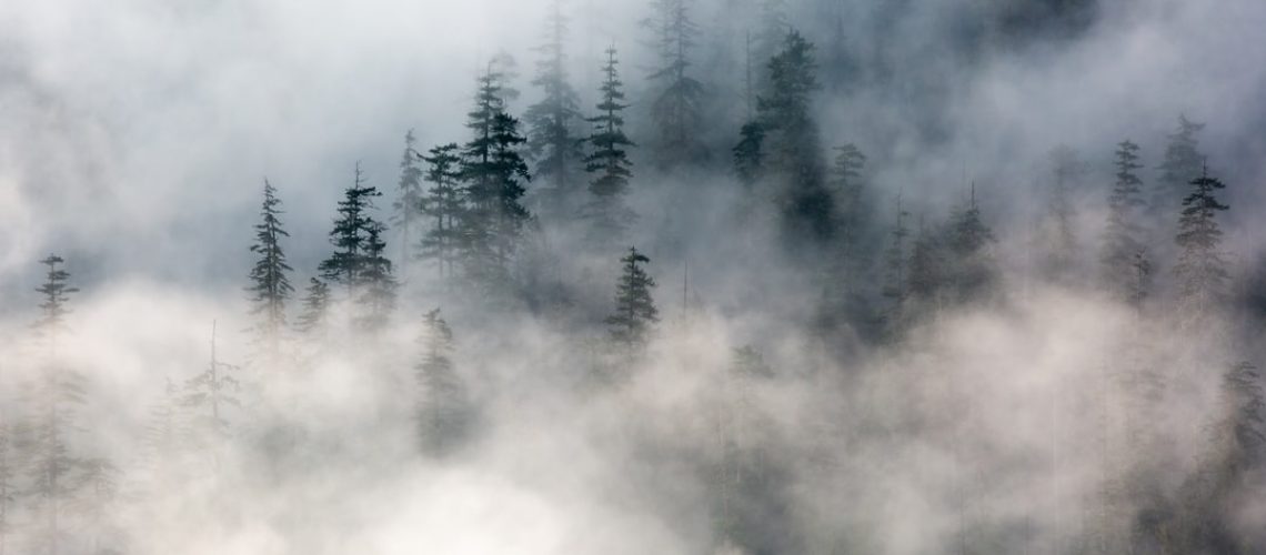 Get cozy with Black Friday deals on sustainable home goods