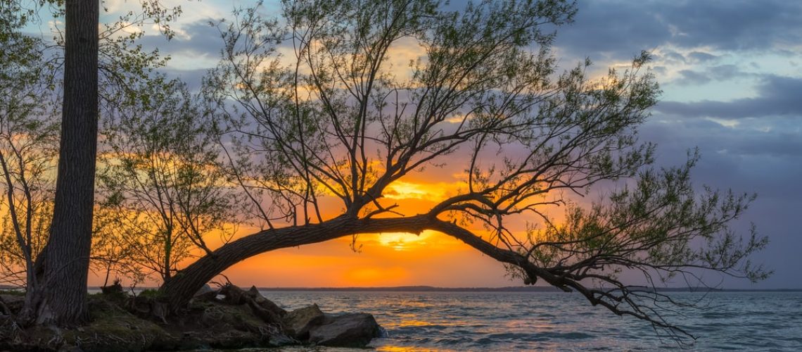 Bitcoin under pressure to adopt more sustainable practices