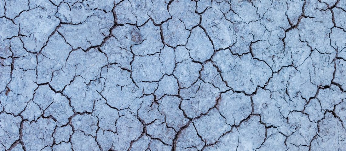 Microplastics contaminate human blood, says new study