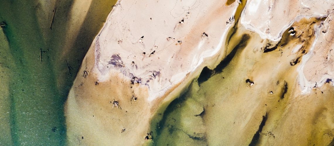 Bucha delivers lab-made leather alternative for clean fashion