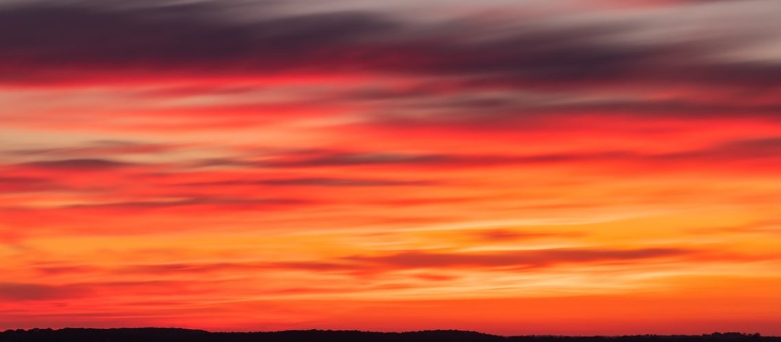 Scenes From a World on Fire
