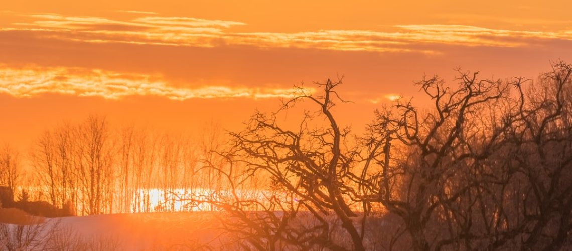 Study: Which Countries Will Best Survive a Collapse?
