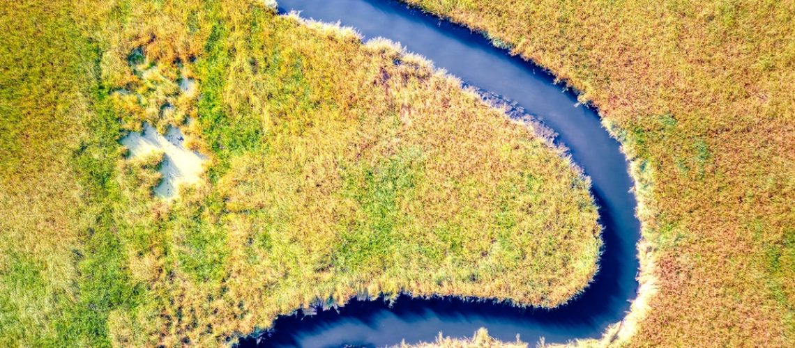 June Was Hottest on Record for North America, Fourth Hottest Globally