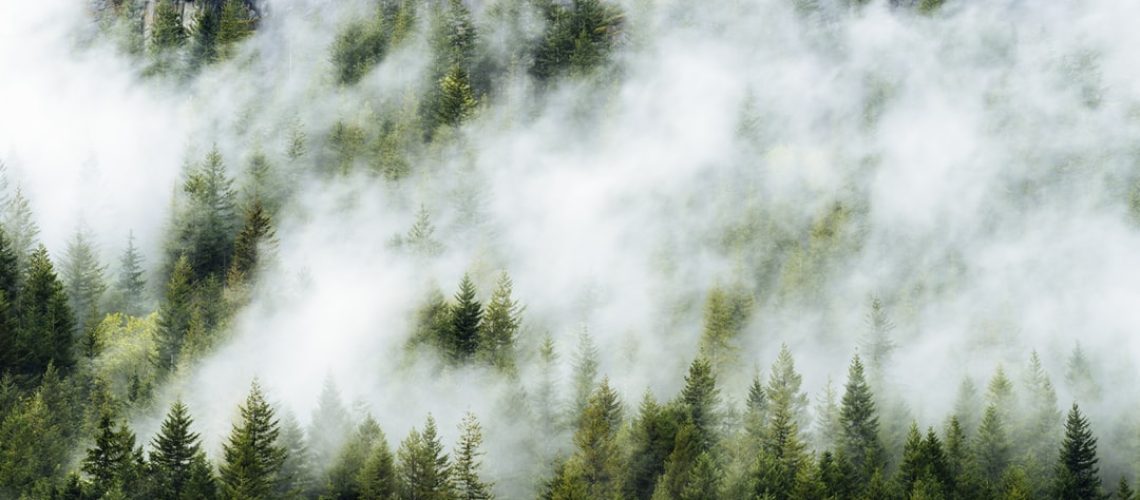 Informe del IPCC: hay poco tiempo para detener el cambio climático