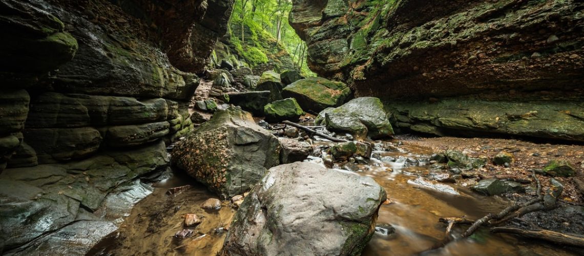 Hilton resort brings guests to the natural and ancient world