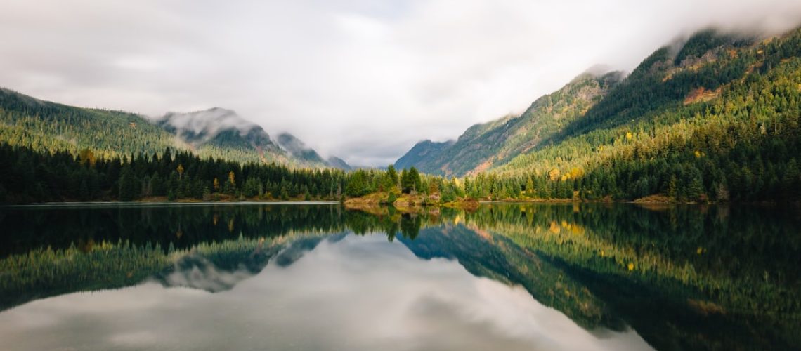 At the Sierra Club, a Focus on Race, Gender and the Environment, Too