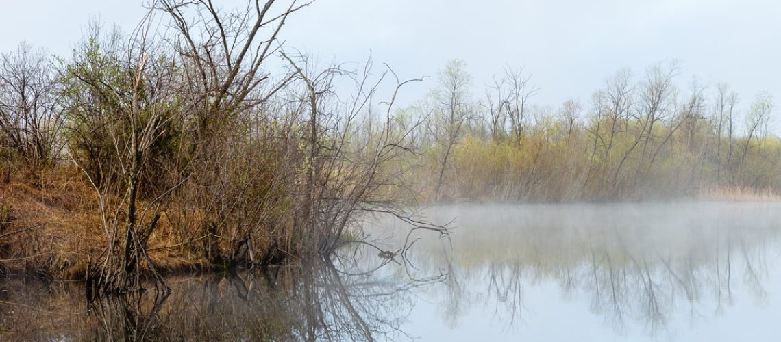 The New York Times Climate Newsletter