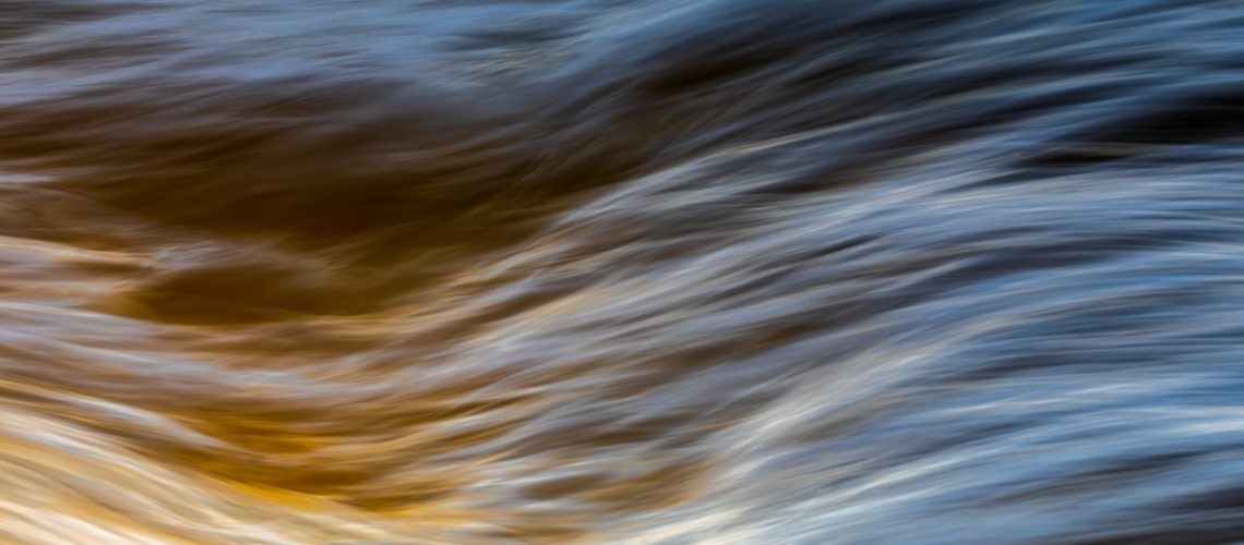 This year's warmer winter could create irreversible damage