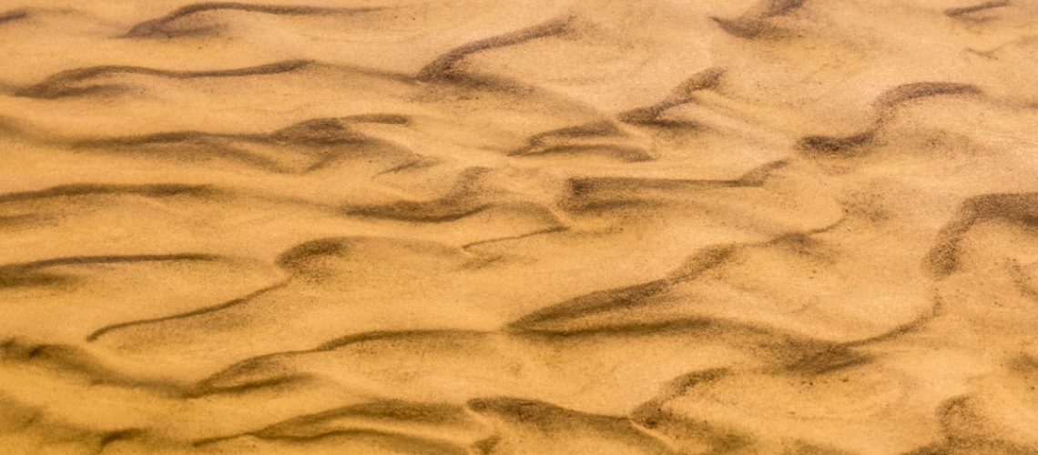 A new IPCC report says we are hurtling toward extinction