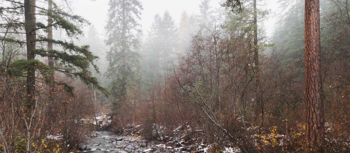 Dixie Fire Ravages California Towns