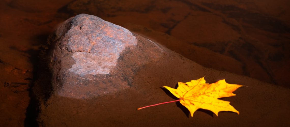 ‘We Need to Talk About Cosby’ and Therapy for Eco-Anxiety: The Week in Narrated Articles