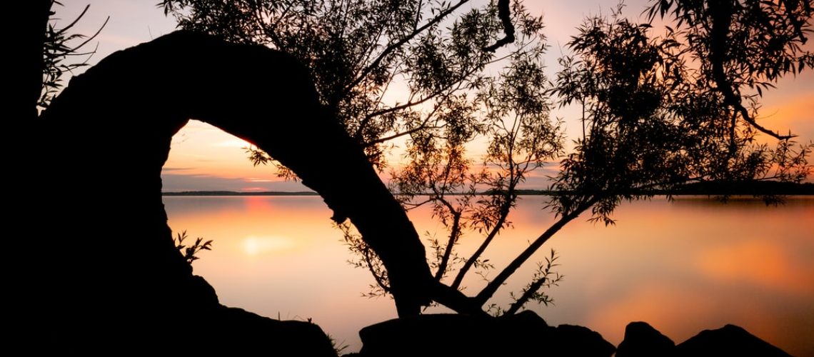 Shell sued by ClientEarth for net-zero failures