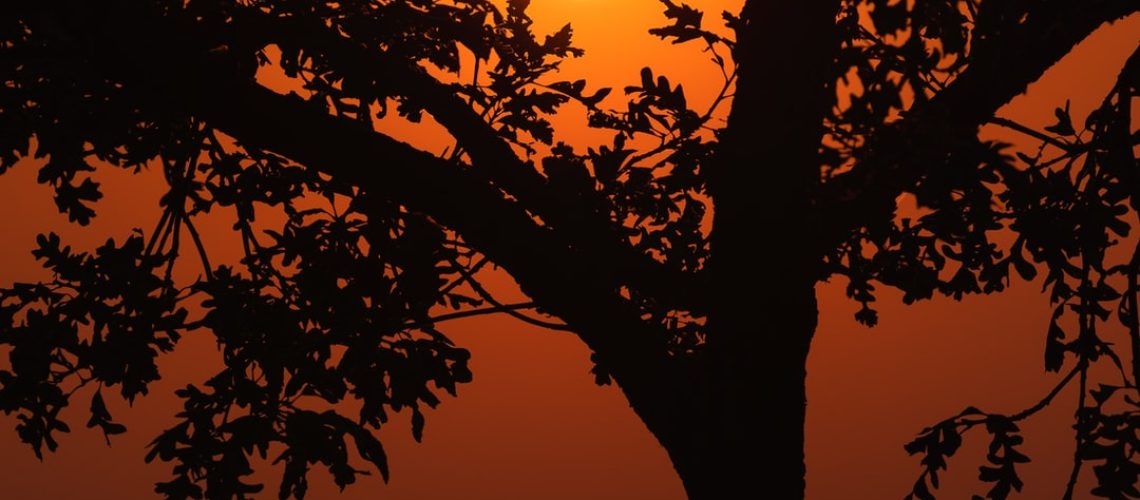 What’s in the $2.2 Trillion Social Policy and Climate Bill