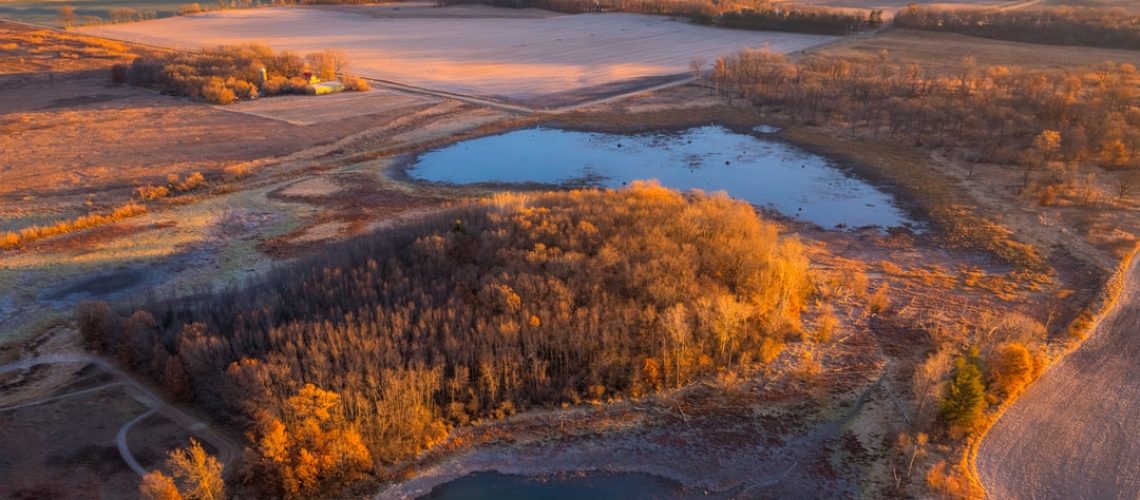 How Climate Change Inflicts a Toll on Mental Health