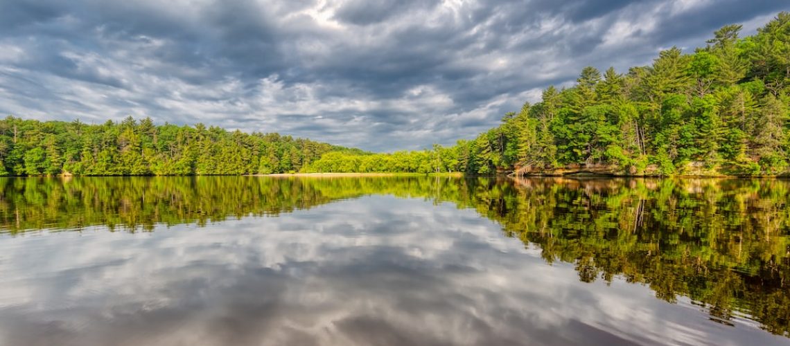 Protecting the Peatlands of Ireland as Fuel Costs Skyrocket