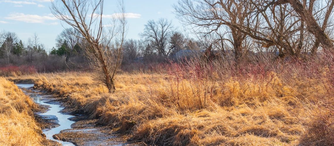 Three Ways to Build Back Smarter After Hurricane Ian