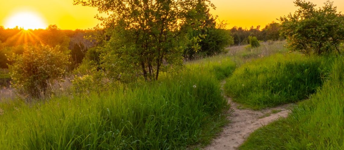 Treat your partner with these eco-friendly holiday gifts