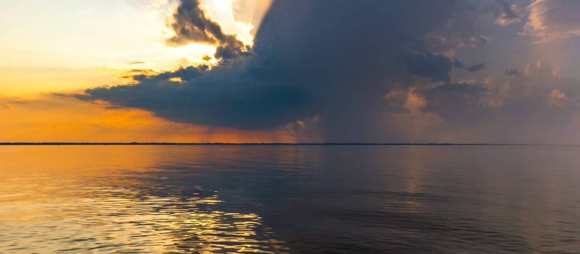 What Is ‘Net-Zero’? And 12 Other Climate Buzzwords What Is ‘Net-Zero’? And 12 Other Climate Buzzwords