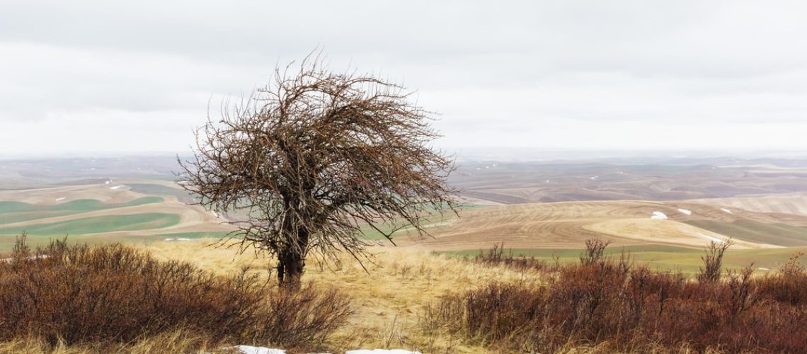 Vertima's environmental consulting helps businesses go green