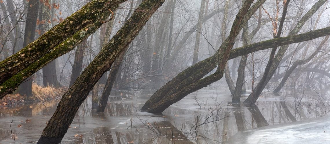 China's University of Technology blends design with nature