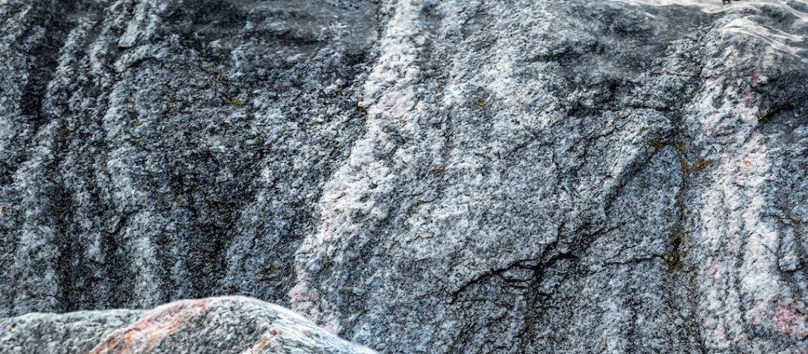 Why Do Some People in New Jersey Suddenly Have So Many Reusable Bags?