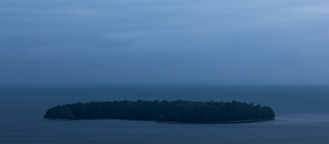 Coming Soon to New York: More Trees