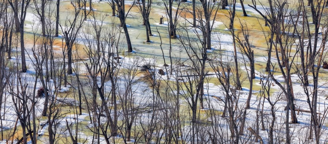 Why regenerative agriculture will reverse climate change