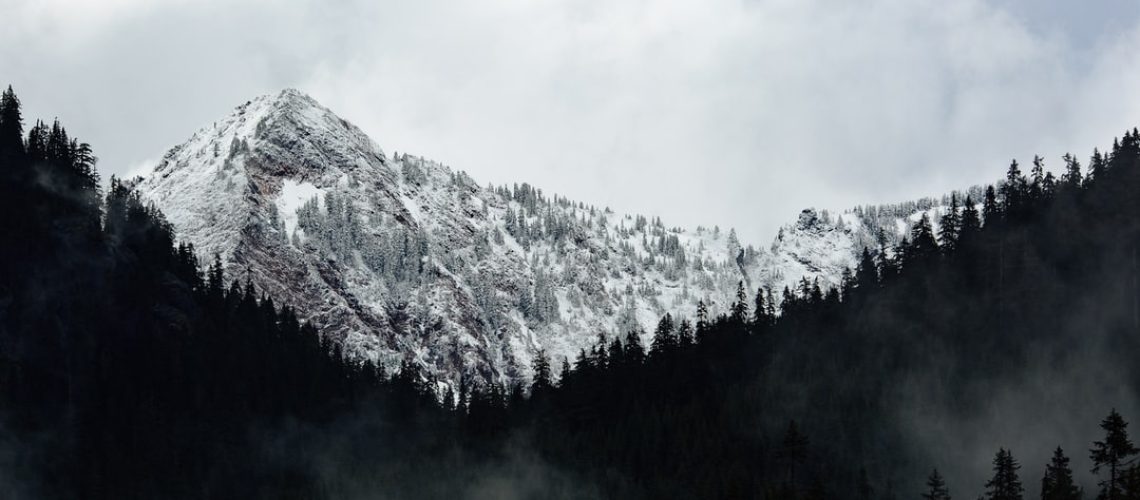 End fossil fuels, save lung health, says new study