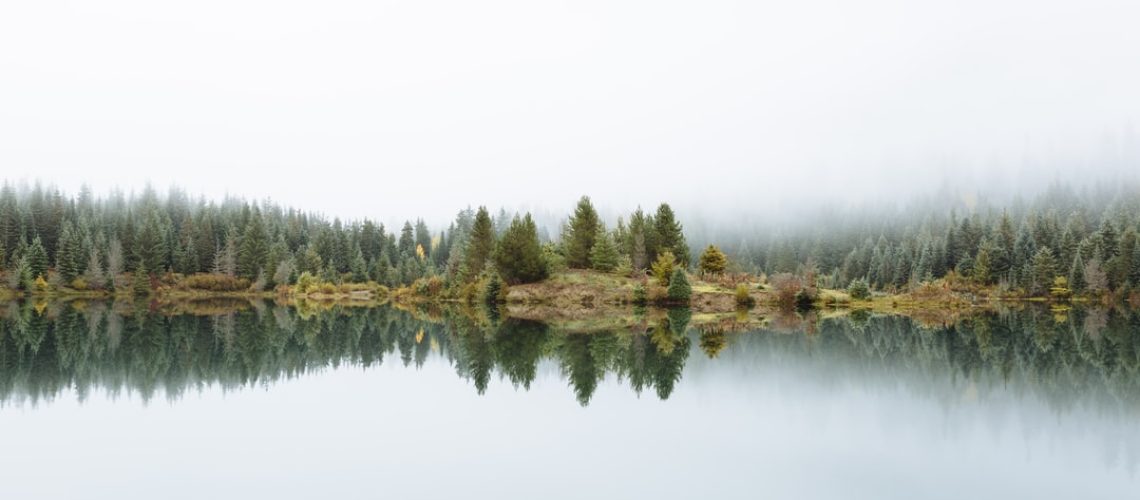 Celebrate nature on International Mountain Day