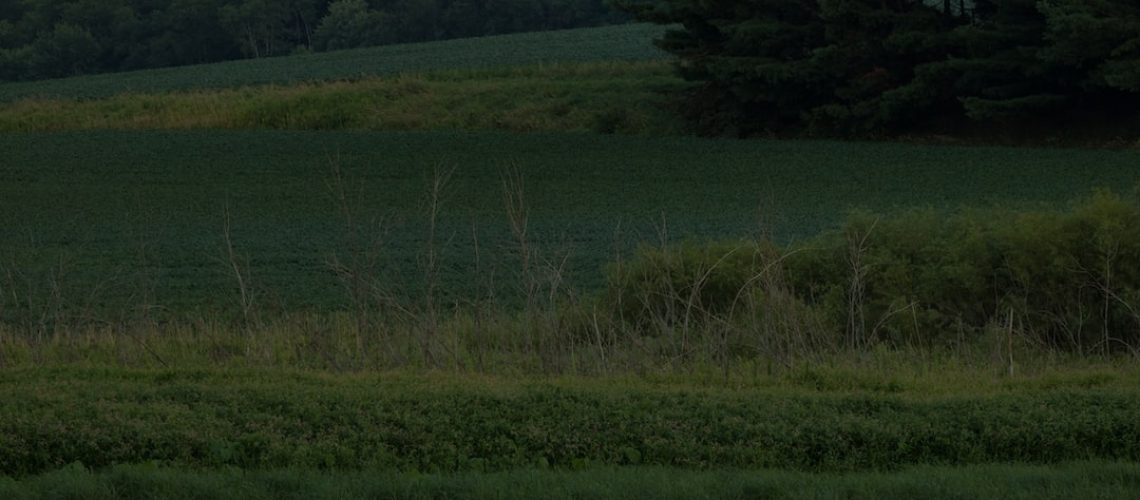 How to Time Your Leaf-Peeping Trip This Fall