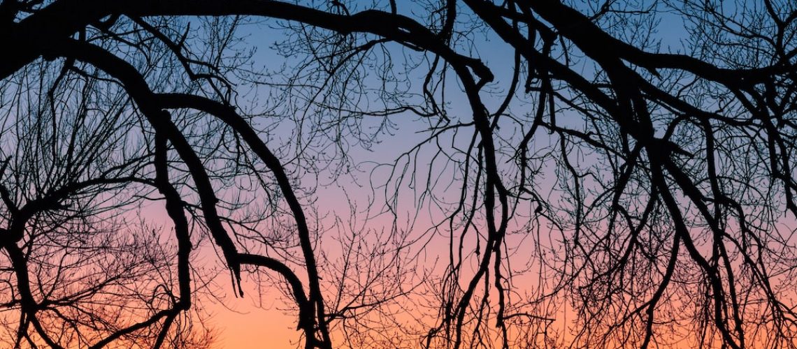 Book Review: ‘Life Is Hard,’ by Kieran Setiya