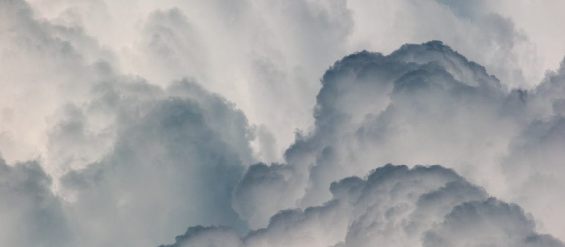 Climate Exhibitions Look Beyond Declarations of Calamity