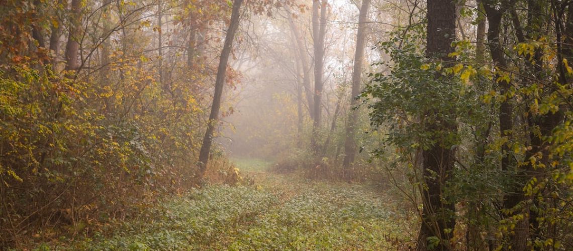 In Somalia, ‘Famine Is at the Door,’ U.N. Warns