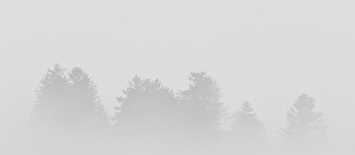 LEED Gold Walden Pond Visitor Center honors Thoreau's legacy