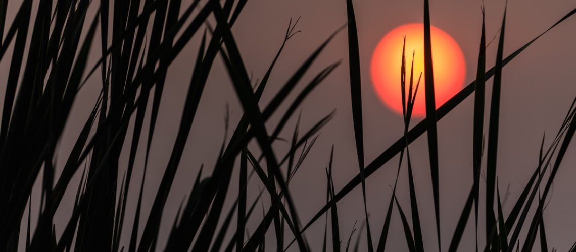 Taking Aim at Environmental Racism, Without Mentioning Race