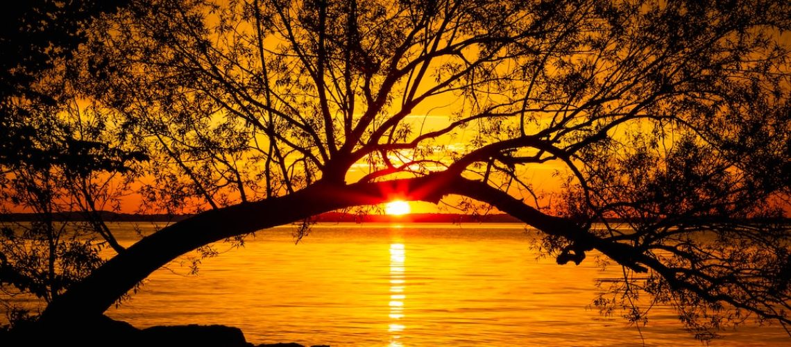 Climate Change Could Worsen Supply Chain Turmoil