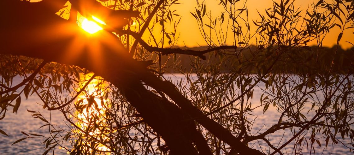 ¿Qué es la COP26? Y otras preguntas sobre la gran cumbre climática de la ONU
