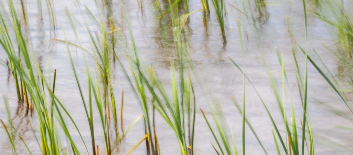 World Bank Leader, Accused of Climate Denial, Offers a New Response