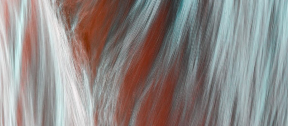 Are There Better Places to Put Large Solar Farms Than These Forests?