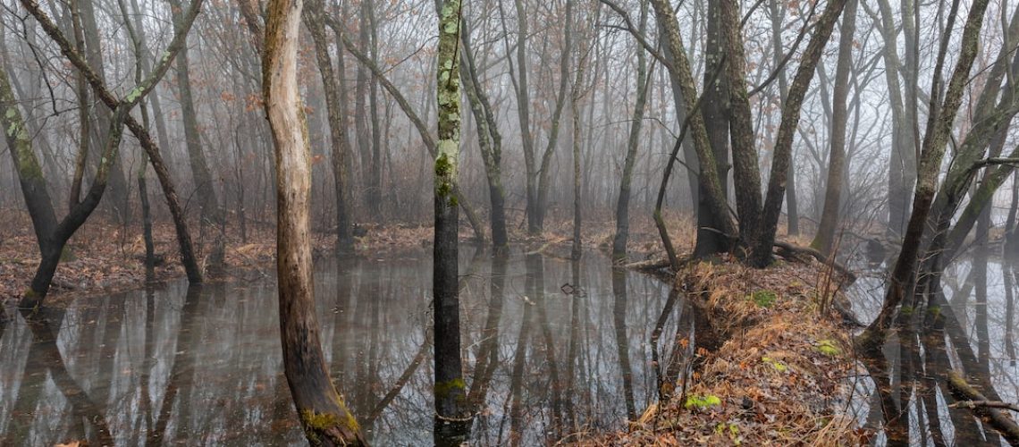 Who pays for climate havoc?