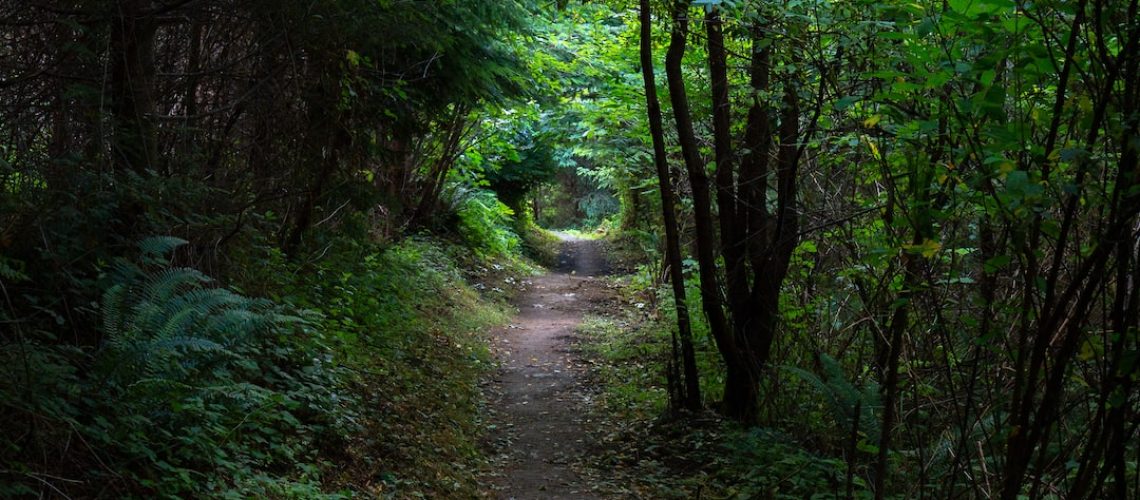 Downpours From Ian Prompt Florida Treatment Plants to Release Waste